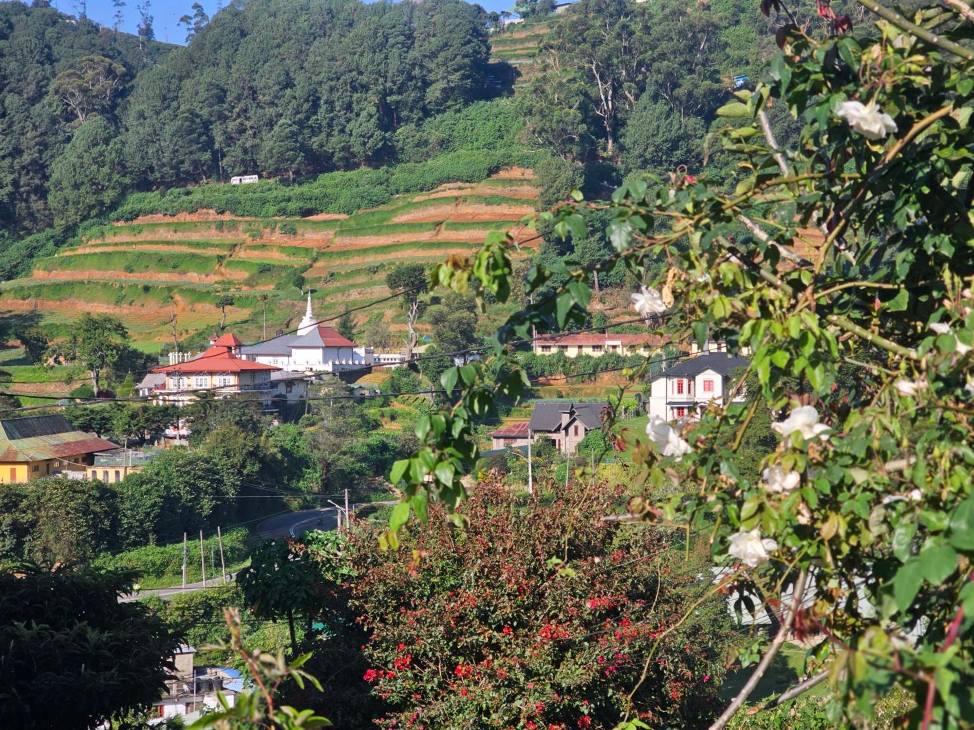 Haven Backpackers Pansiyon Nuwara Eliya Dış mekan fotoğraf