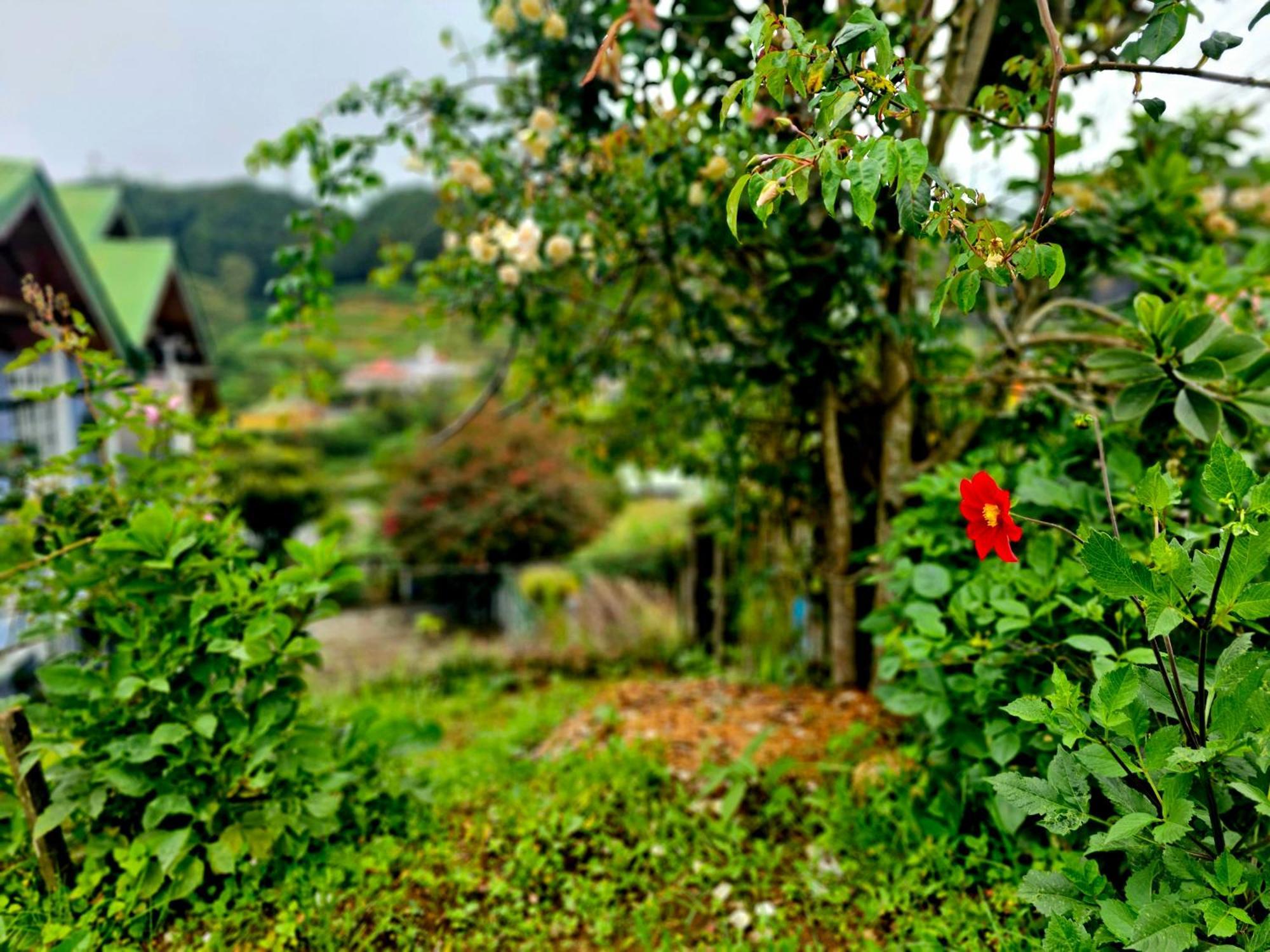 Haven Backpackers Pansiyon Nuwara Eliya Dış mekan fotoğraf