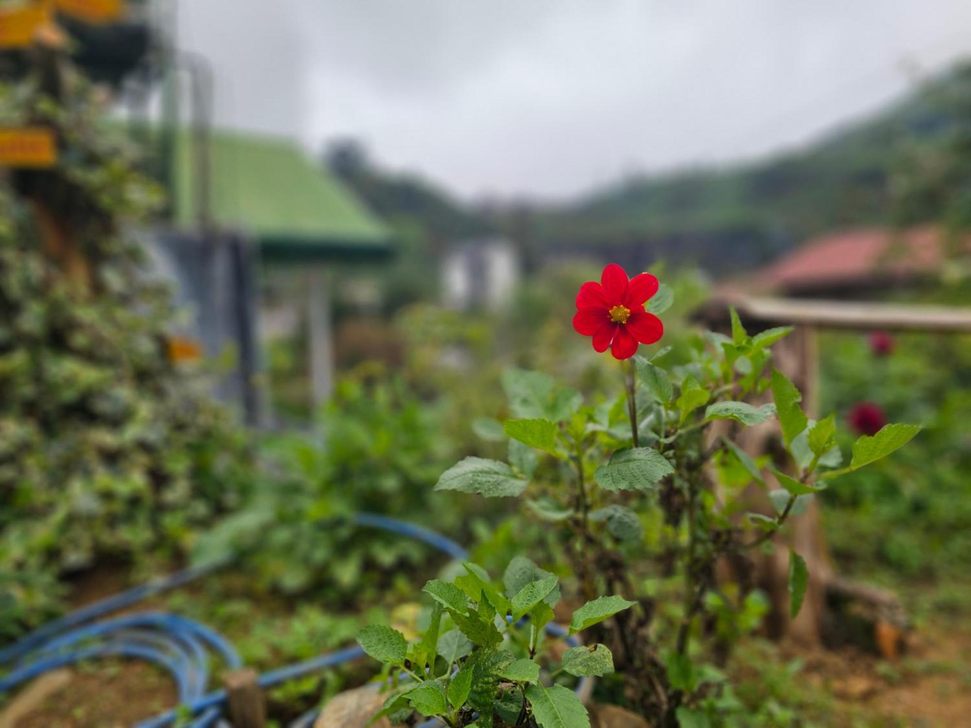Haven Backpackers Pansiyon Nuwara Eliya Dış mekan fotoğraf